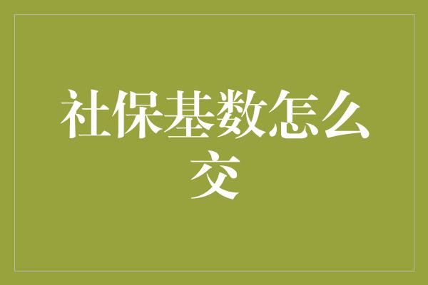 社保基数怎么交