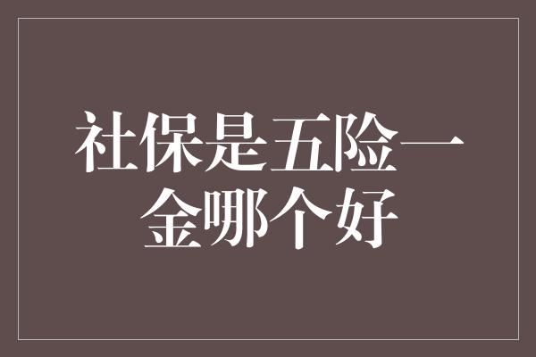 社保是五险一金哪个好