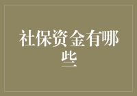 社保资金管理：多元化资金来源与监管策略