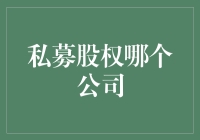 私募股权行业巨头：全球资本市场的幕后推手