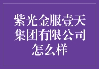 紫光金服壹天集团有限公司：金融界的奇葩，还是投资的神话？