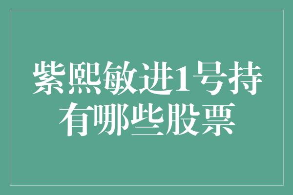 紫熙敏进1号持有哪些股票