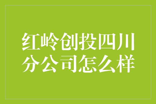 红岭创投四川分公司怎么样