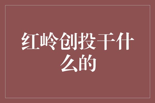 红岭创投干什么的