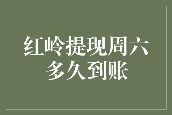 红岭提现周六多久到账