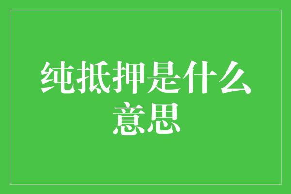 纯抵押是什么意思