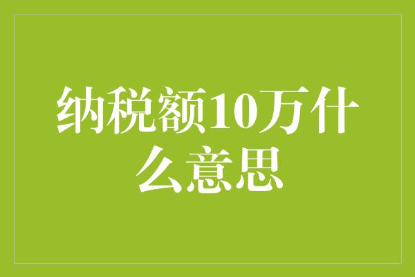 纳税额10万什么意思