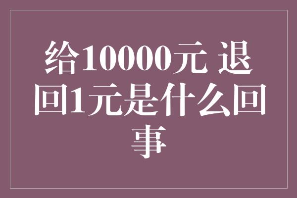 给10000元 退回1元是什么回事