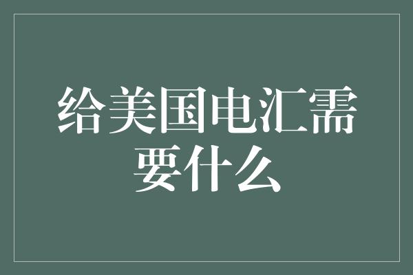 给美国电汇需要什么