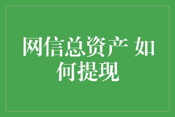 网信总资产 如何提现