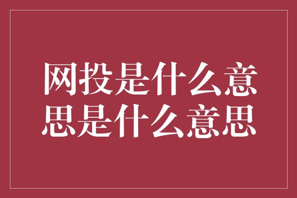 网投是什么意思是什么意思