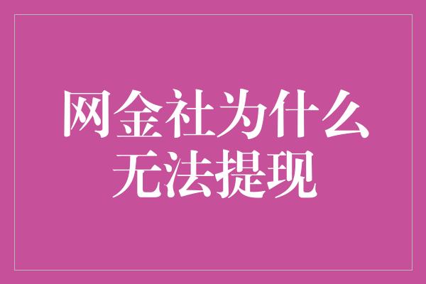 网金社为什么无法提现