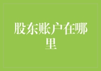 探索股东账户的虚拟王国：您知道自己拥有多少股份吗？