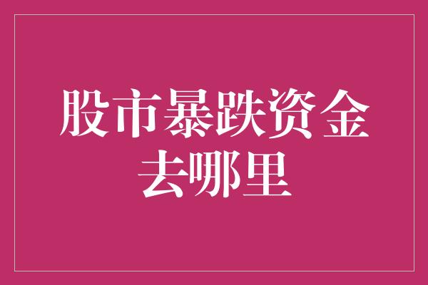 股市暴跌资金去哪里