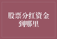 解析股票分红资金流向：投资者的权益与选择