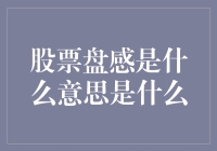 股票盘感：炒股高手心中的无形指南针