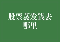 股票蒸发钱去哪里：揭秘市场谜题与理性对策