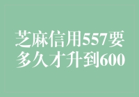 芝麻信用557分加速升至600分的策略与技巧