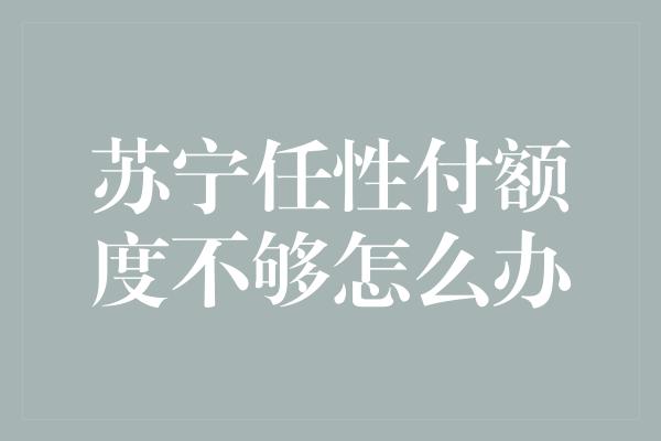 苏宁任性付额度不够怎么办