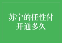 苏宁任性付的开通条件与优点解析：从注册到消费的全流程指南