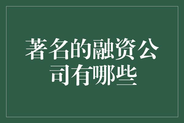 著名的融资公司有哪些