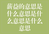 薪益的意思是什么意思是什么意思是什么意思？你这是要把我绕晕吗？