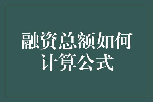 融资总额如何计算公式