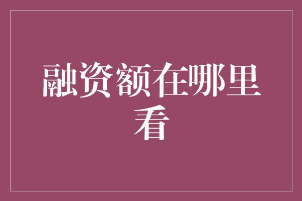 融资额在哪里看