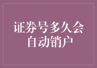 证券号多久会自动销户：一场关于失踪的奇妙探险