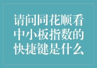 咋回事？同花顺上看中小板指数，按啥键才能快？