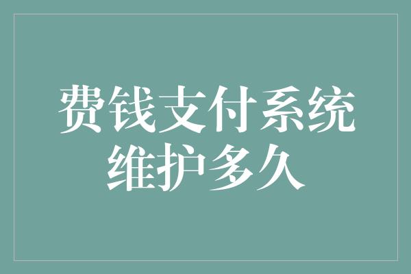 费钱支付系统维护多久