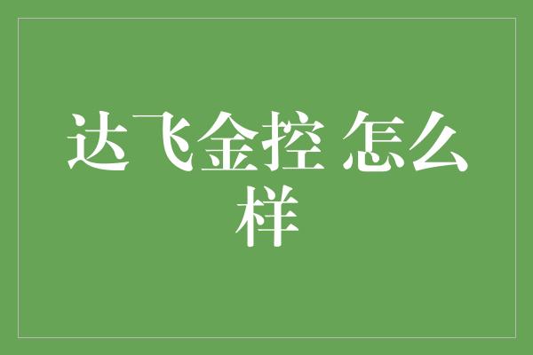 达飞金控 怎么样