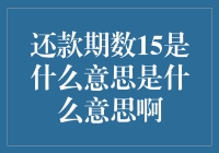 为什么15期还款让我感到圆润？