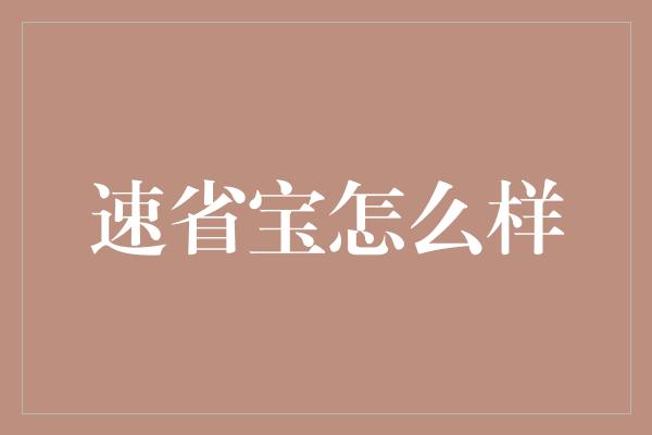 速省宝怎么样