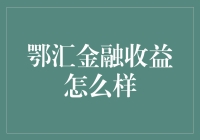 鄂汇金融收益分析：稳健增长与风险管理并行