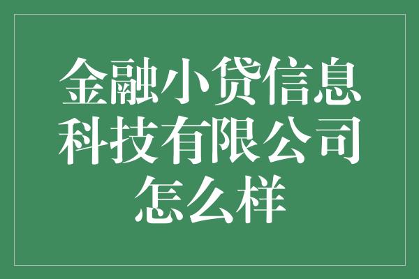 金融小贷信息科技有限公司怎么样