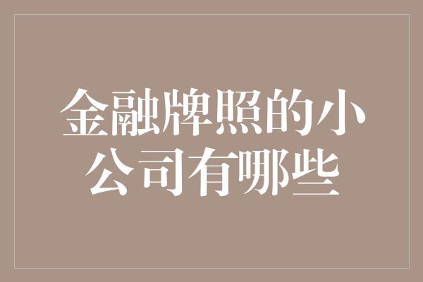 金融牌照的小公司有哪些