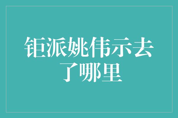 钜派姚伟示去了哪里