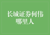 长城证券何伟：跨越千山万水，只为寻找证券界的长城