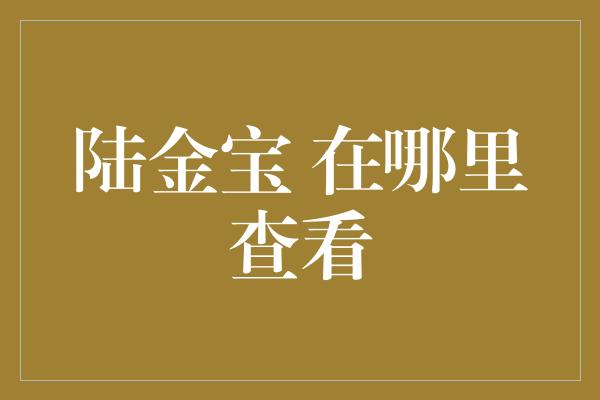 陆金宝 在哪里查看