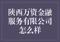 陕西万资金融服务有限公司：专业金融解决方案的典范