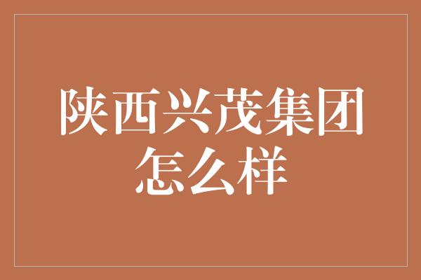 陕西兴茂集团怎么样