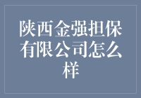 揭秘陕西金强担保有限公司：真的强吗？