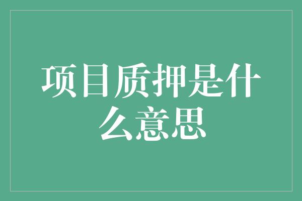 项目质押是什么意思