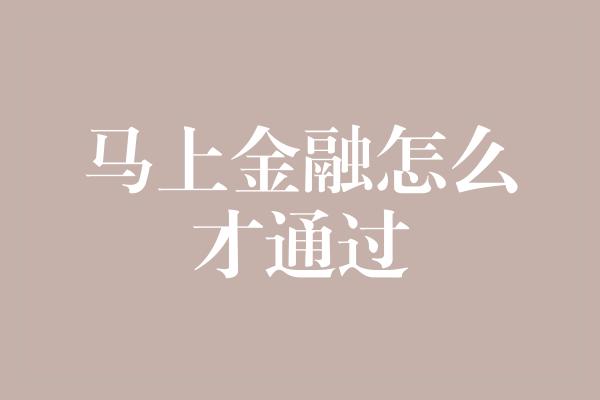 马上金融怎么才通过