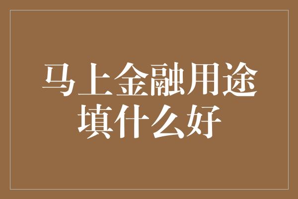 马上金融用途填什么好