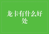 龙卡？那玩意儿能吃吗？