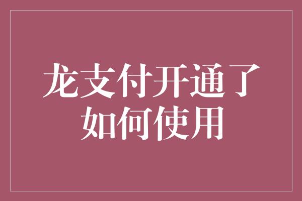 龙支付开通了如何使用