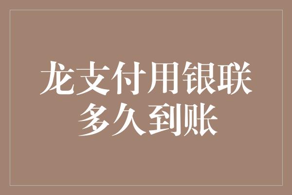 龙支付用银联多久到账