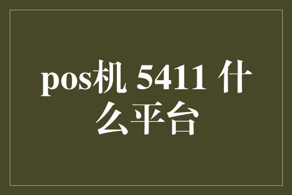 pos机 5411 什么平台